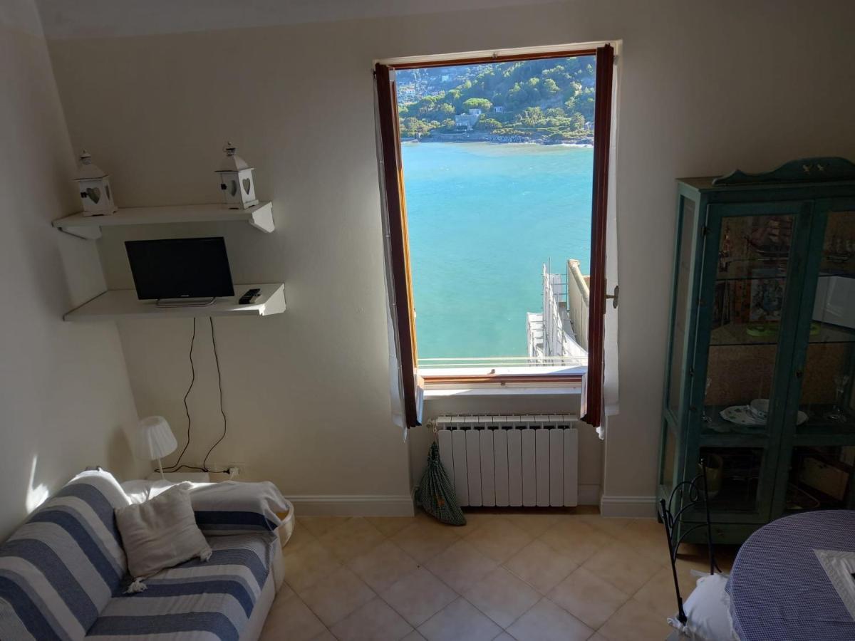 Vittoria 19 *